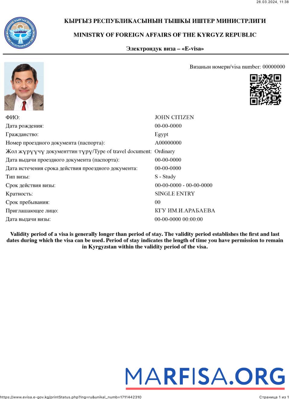 Realistic Kyrgyz Republic e visa example